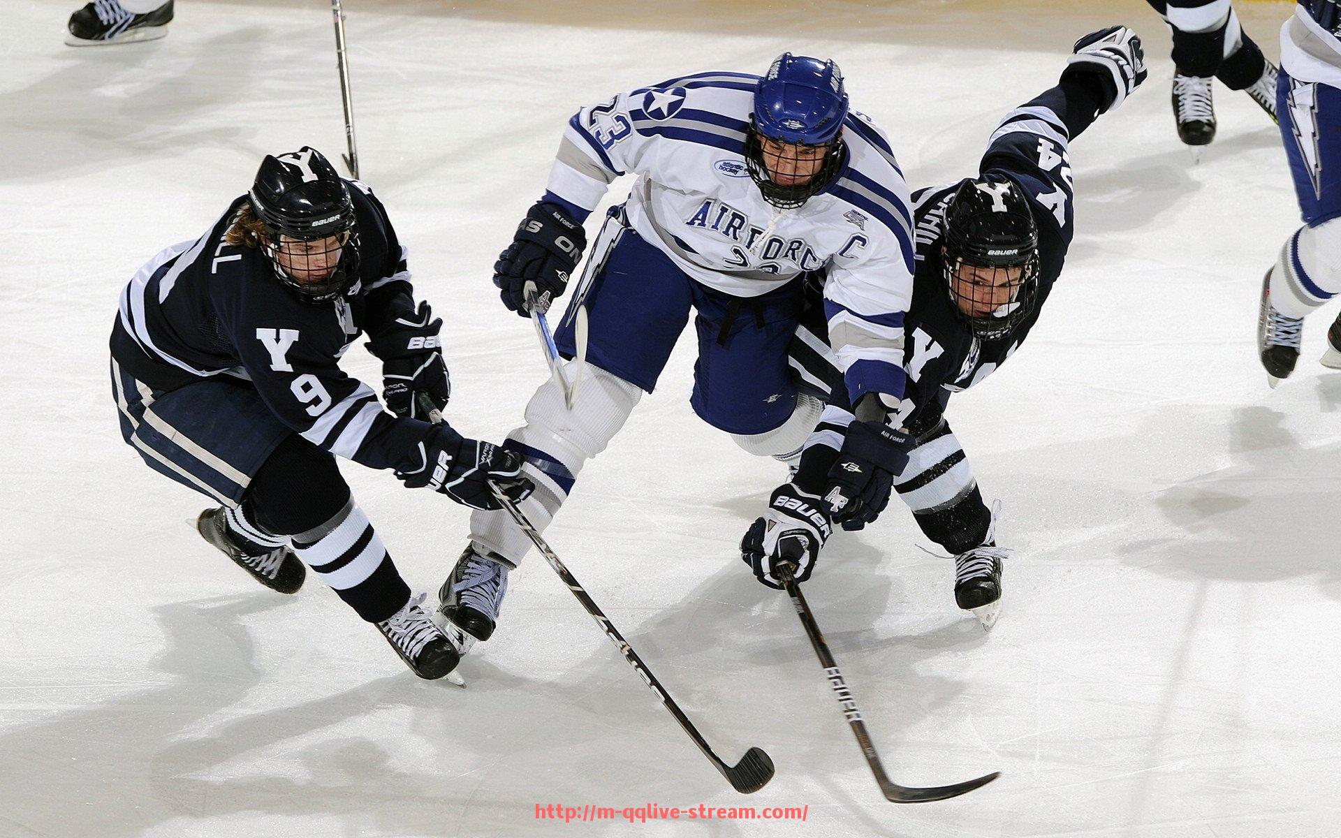企鹅直播-健身会所最常使用的十大健身器材设备